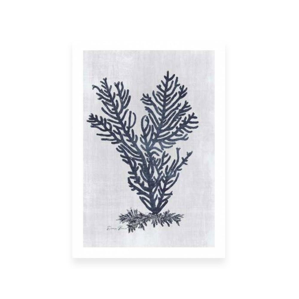Sea Fan 2 | White