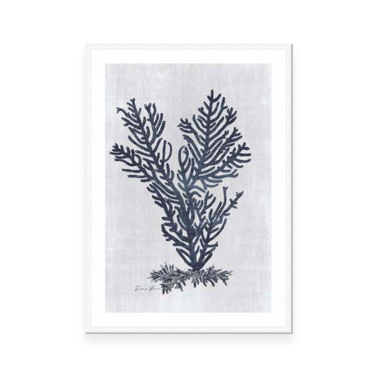 Sea Fan 2 | White