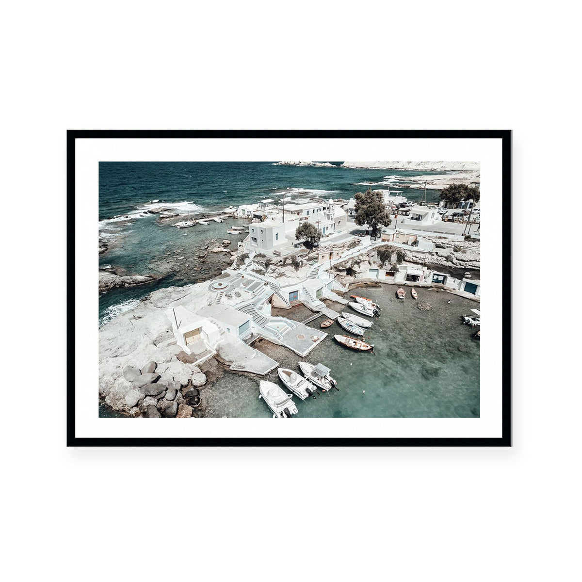 Seaside Palette Mandrakia