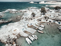 Seaside Palette Mandrakia