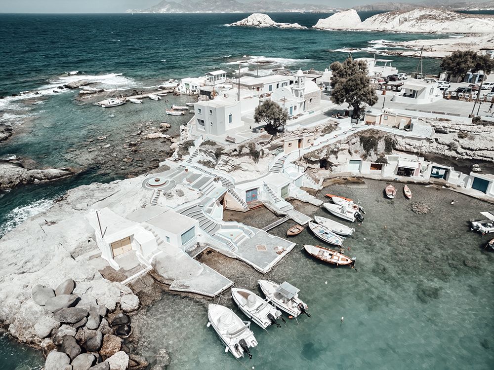 Seaside Palette Mandrakia