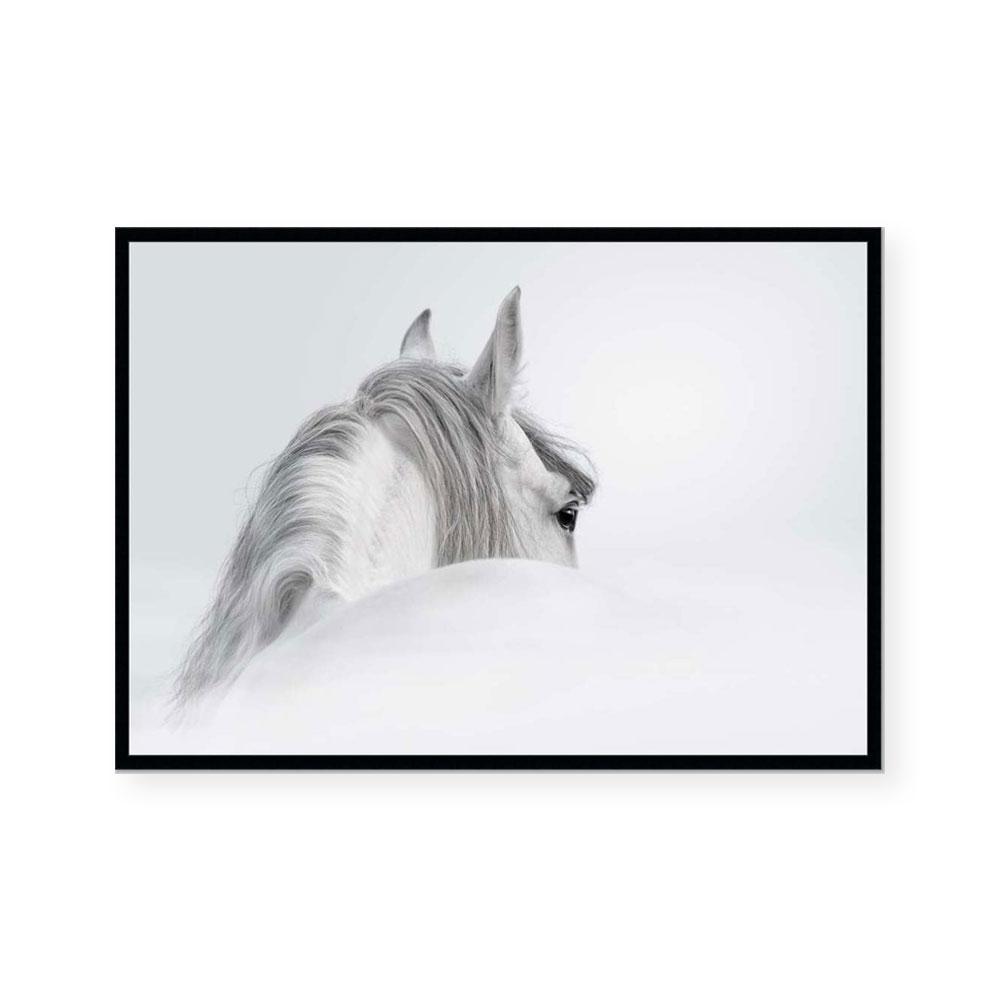 Silver Mare II