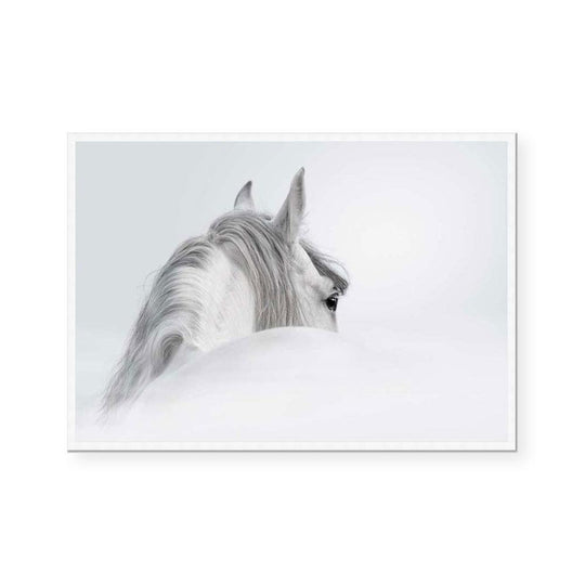 Silver Mare II