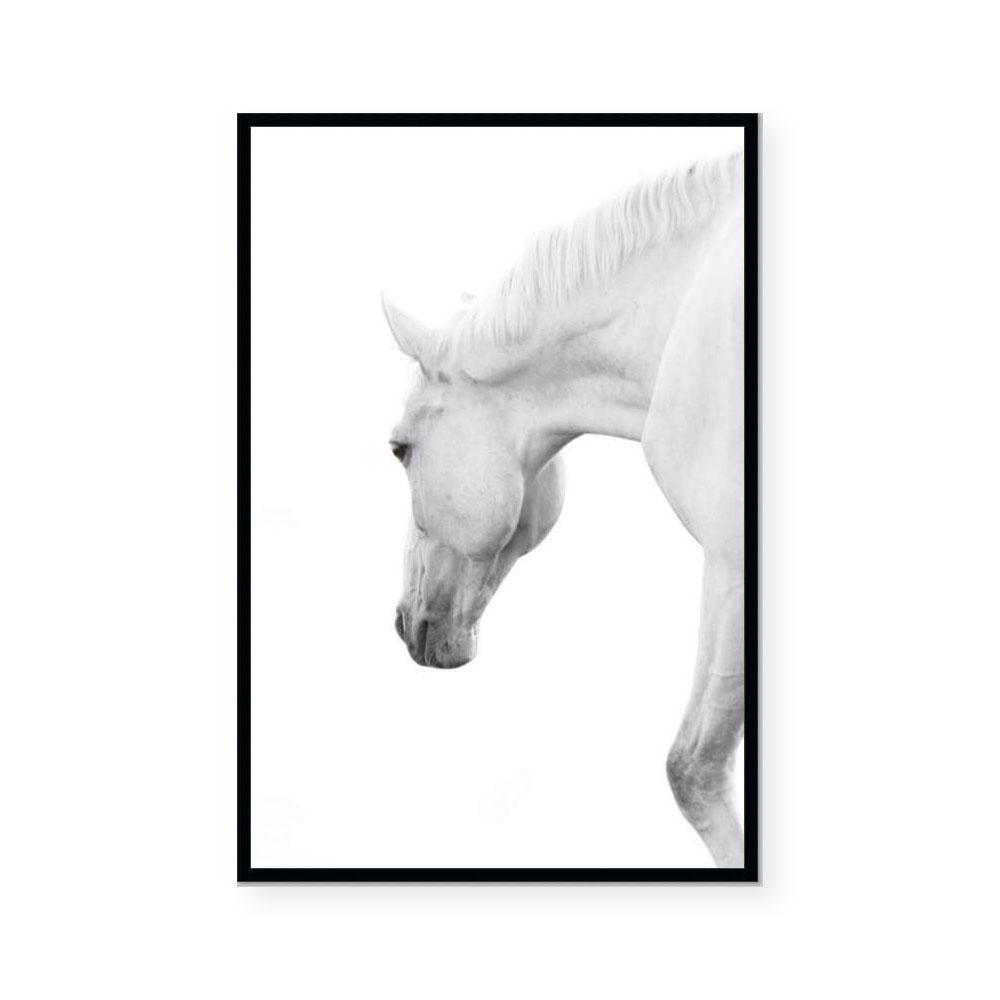 Silver Mare I