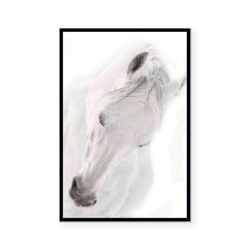 Silver Mare III