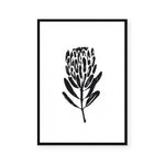 Simple Natives #1