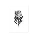 Simple Natives #1