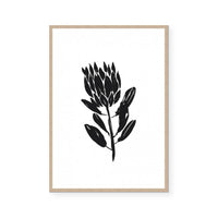 Simple Natives #6