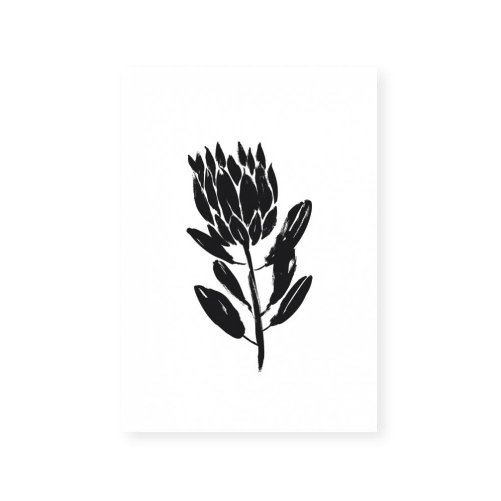 Simple Natives #6