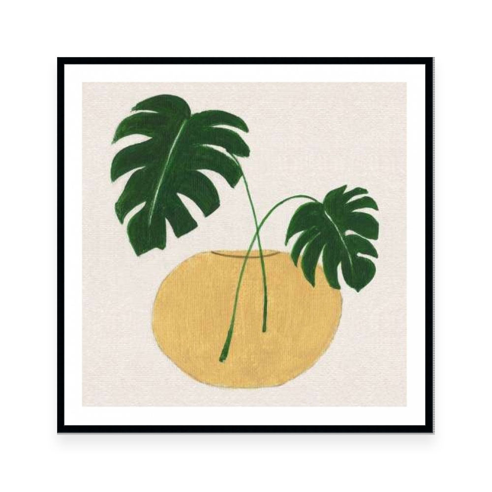 Simple Nature II