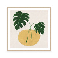 Simple Nature II