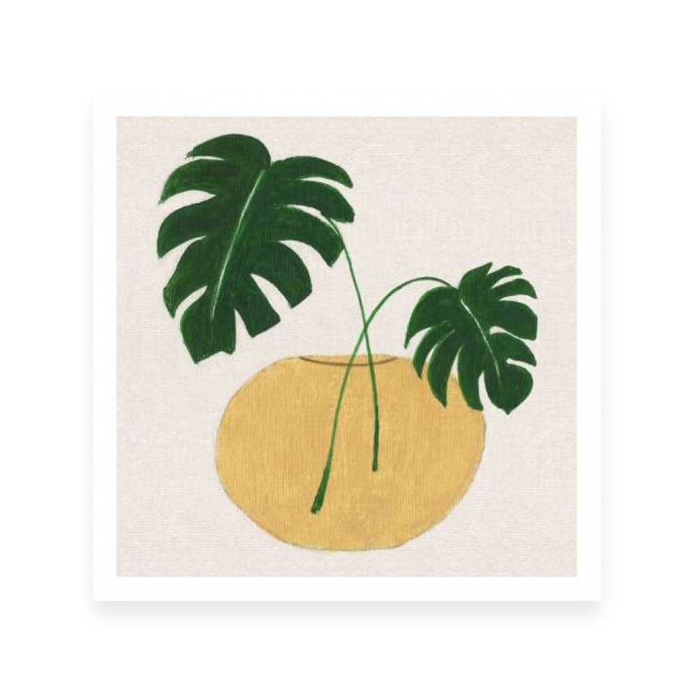 Simple Nature II