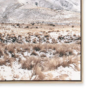 Snow in New Zealand