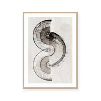 Sophisticated Lines II
