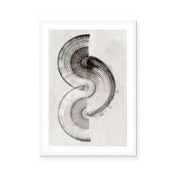 Sophisticated Lines II