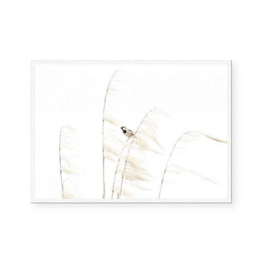 Sparrow Amongst the Pampas