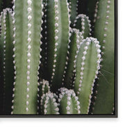 Spines