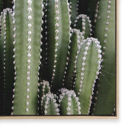 Spines