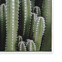 Spines