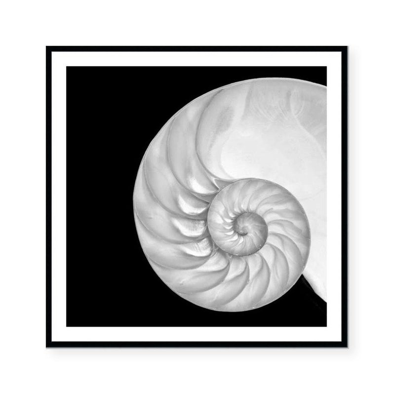 Spiral I