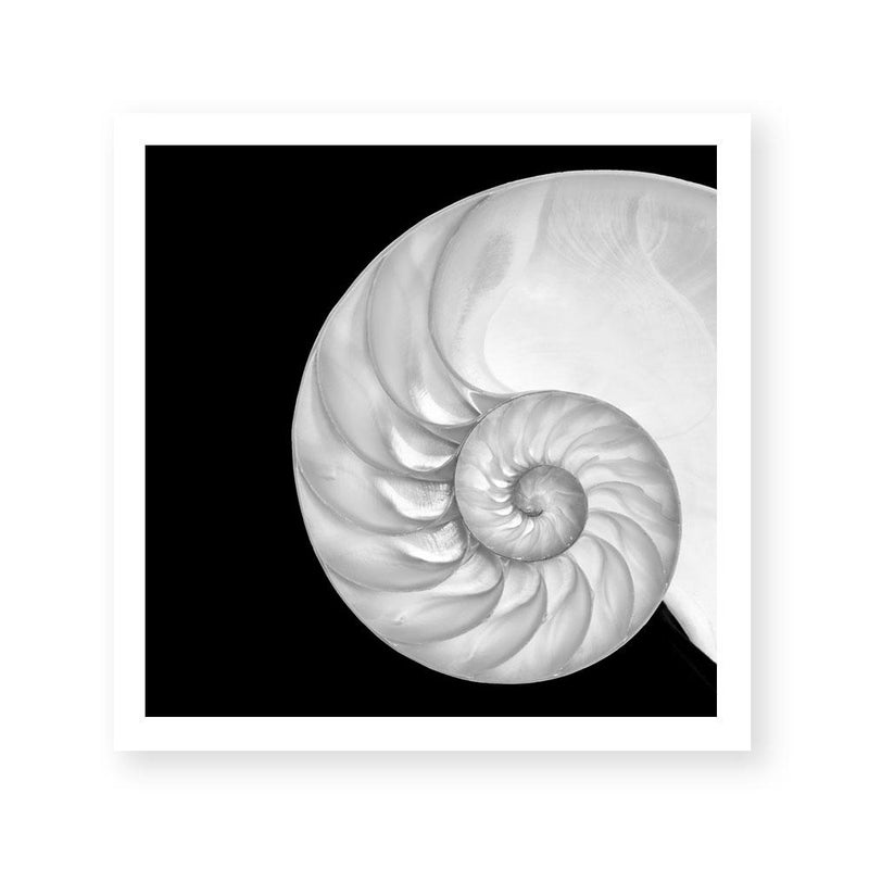 Spiral I