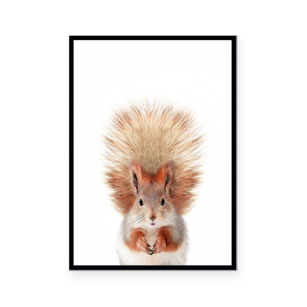 Squirrel