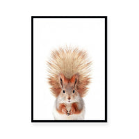 Squirrel