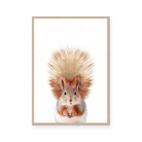 Squirrel
