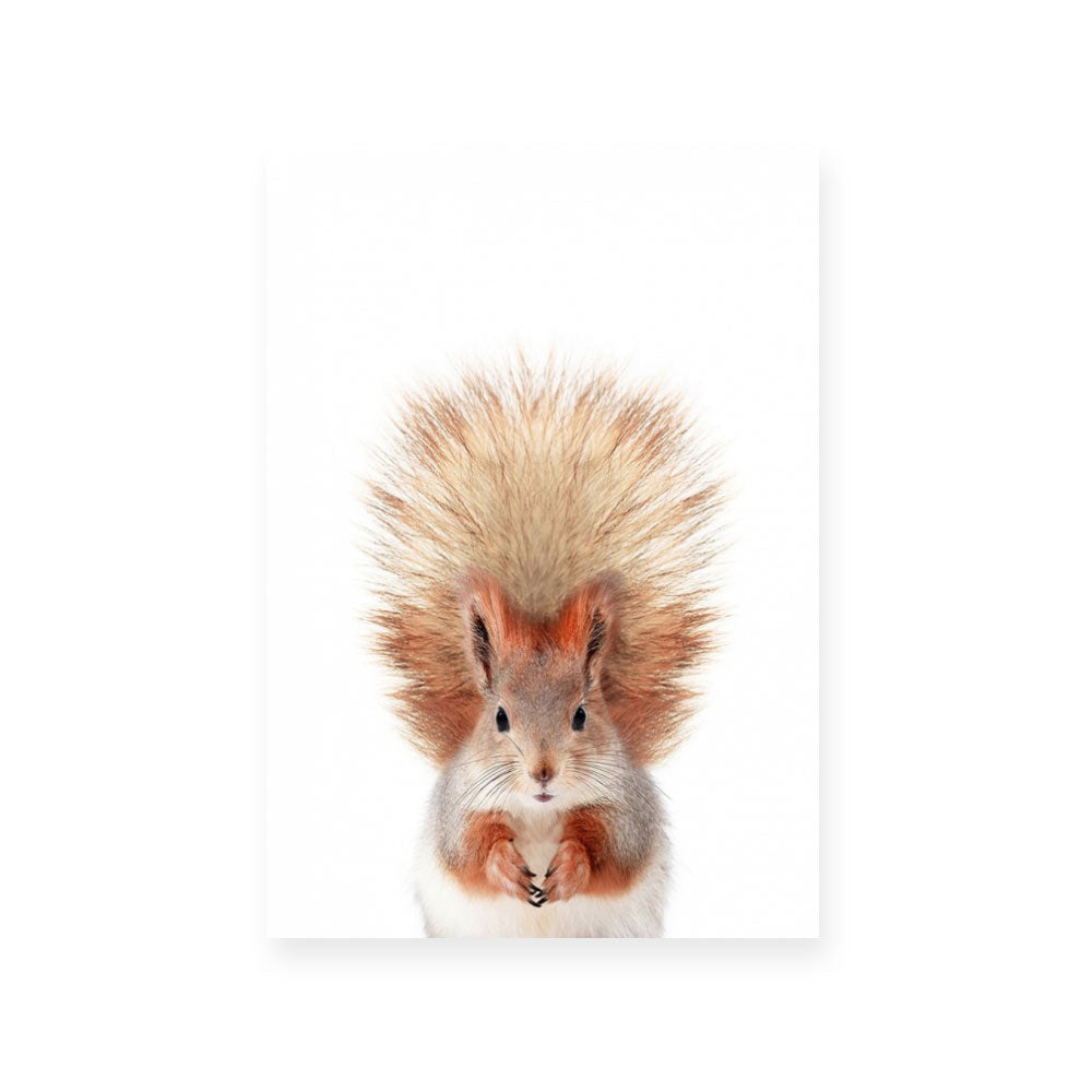 Squirrel