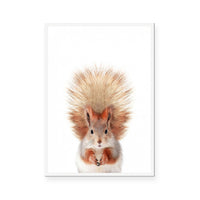 Squirrel