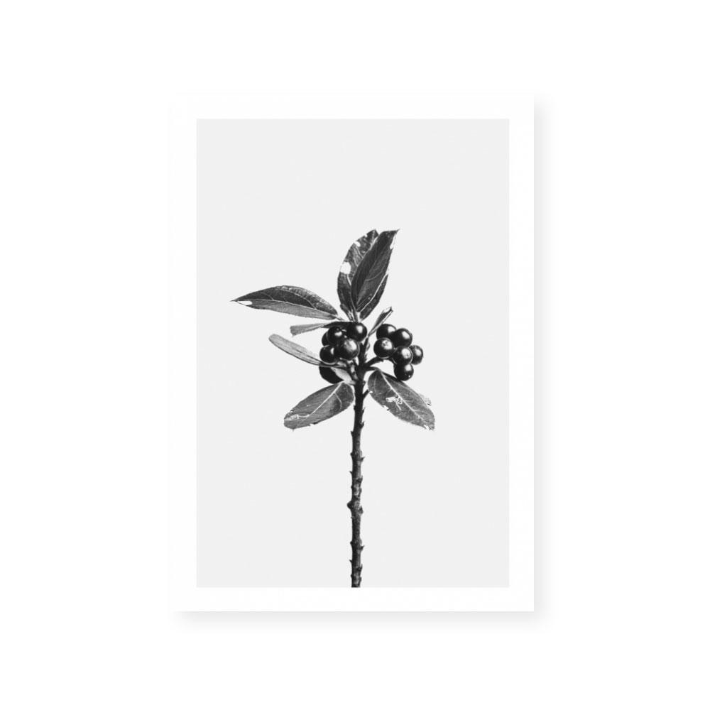 Stand Alone III
