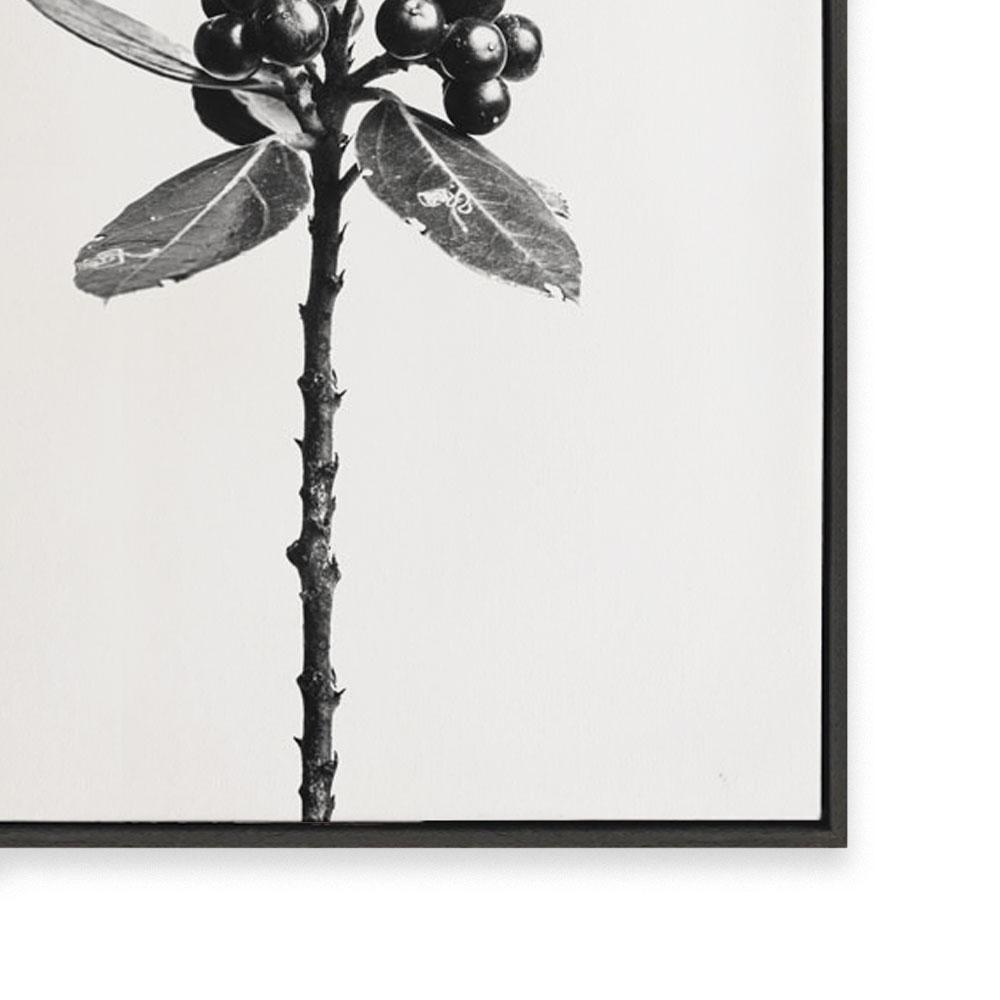 Stand Alone III