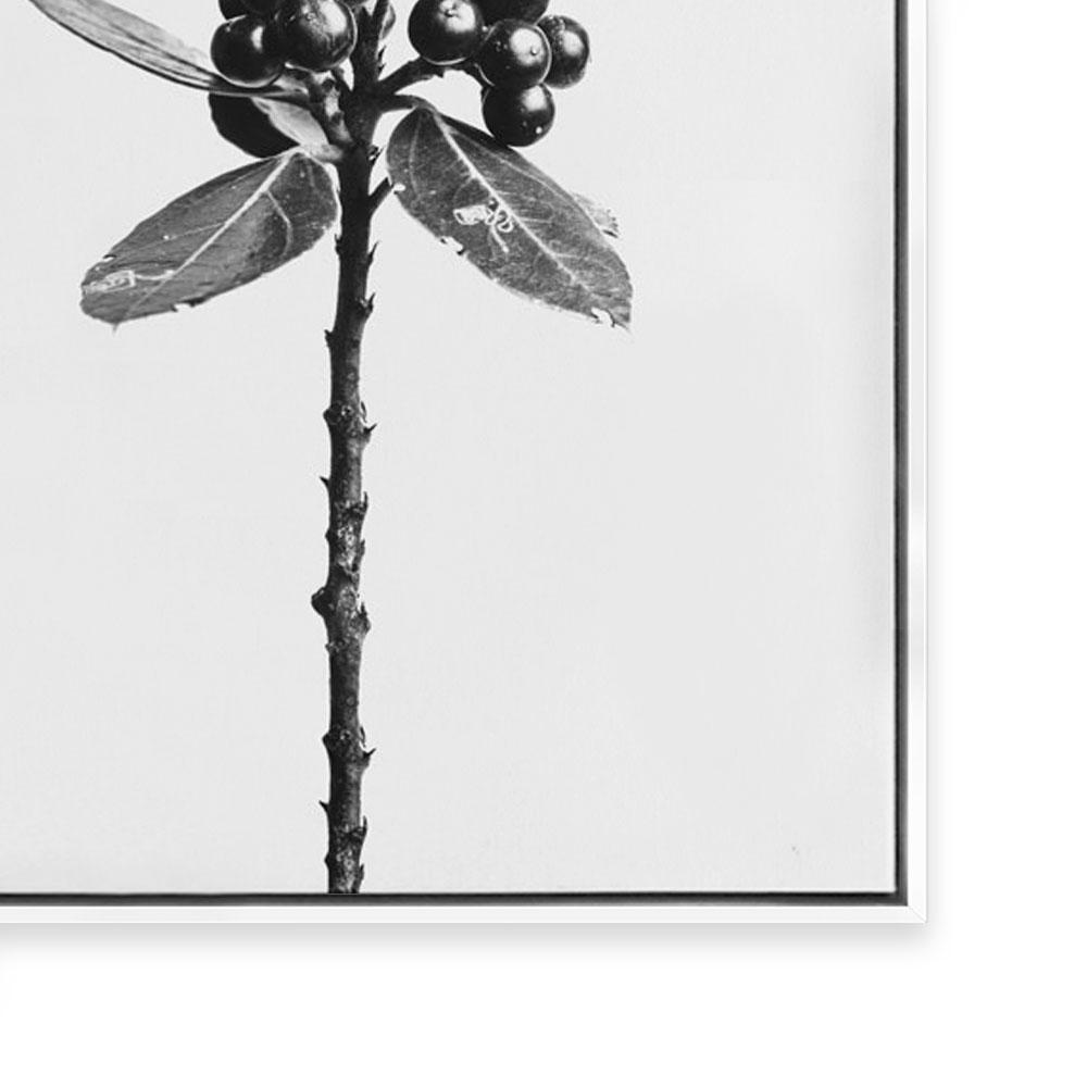 Stand Alone III