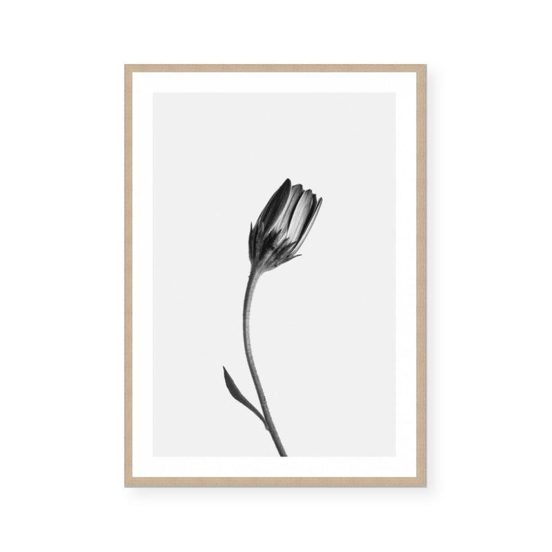 Stand Alone I