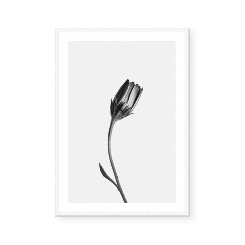 Stand Alone I