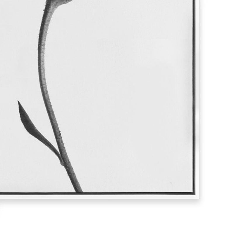 Stand Alone I