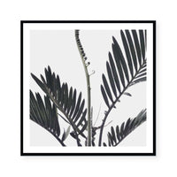 Stems I