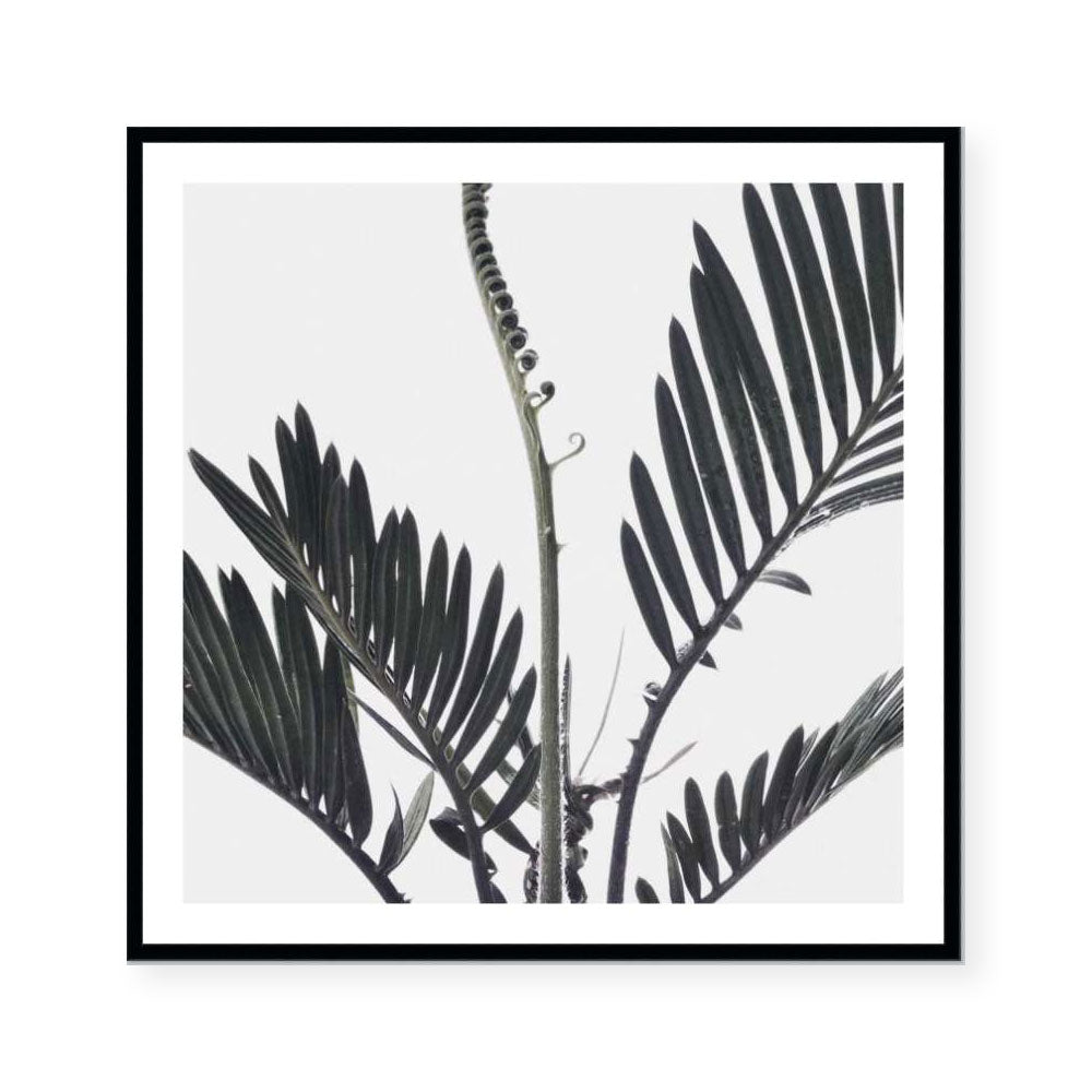 Stems I