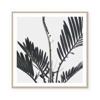 Stems I