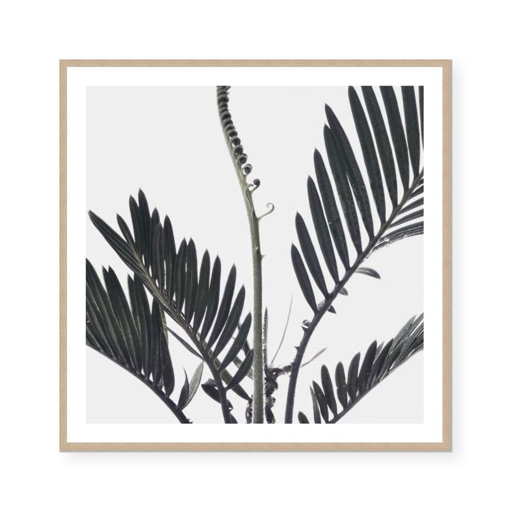 Stems I