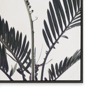 Stems I