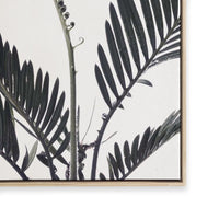 Stems I