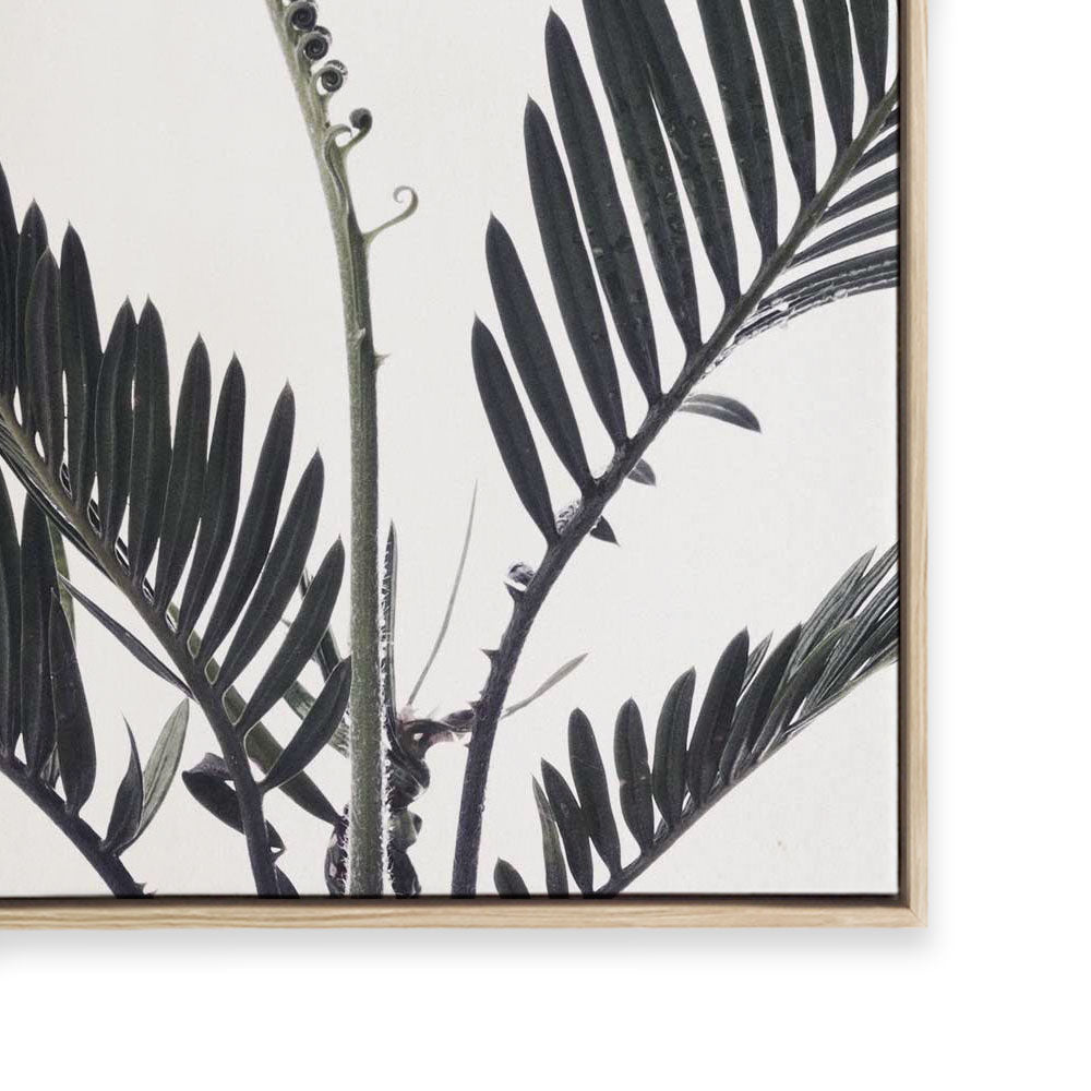 Stems I