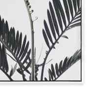 Stems I