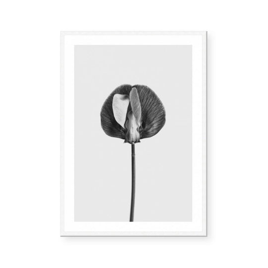 Strange and Beautiful II