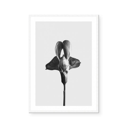 Strange and Beautiful I