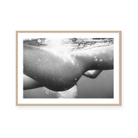 Subaquatic | Monochrome