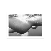 Subaquatic | Monochrome