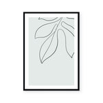 Teal Botanicals III