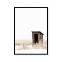 The Shed